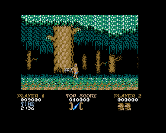 Ghosts 'N Goblins Screenshot 13 (Atari ST)