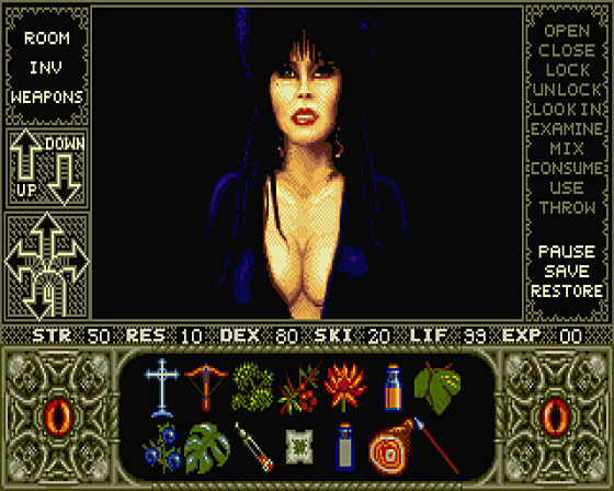 Elvira: Mistress Of The Dark Demo