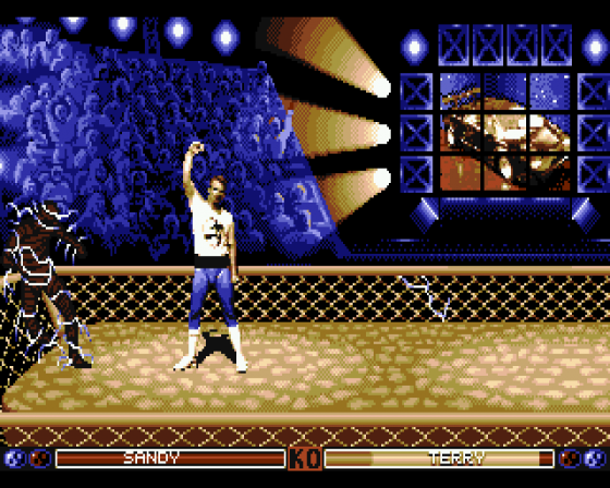 Ultimate Arena Screenshot 8 (Atari ST)