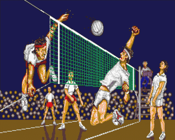 Volleyball Simulator