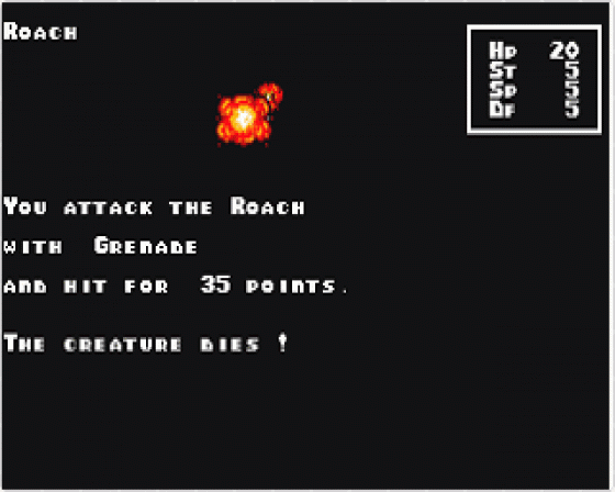 Fate Master Screenshot 7 (Atari ST)