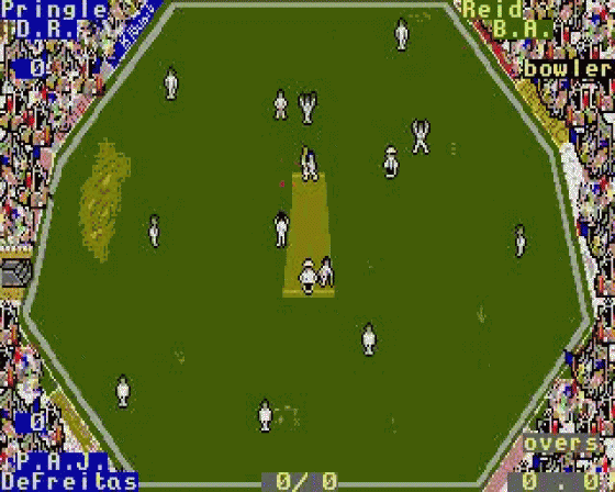 International Cricket Screenshot 6 (Atari ST)