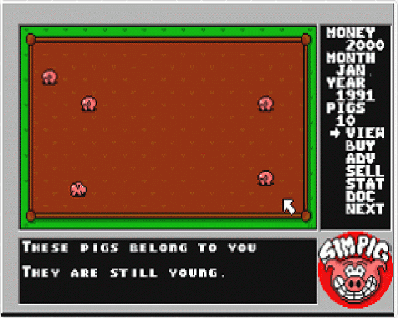 Sim Pig: The Advanced Realtime Strategic Pig Simulation Screenshot 7 (Atari ST)