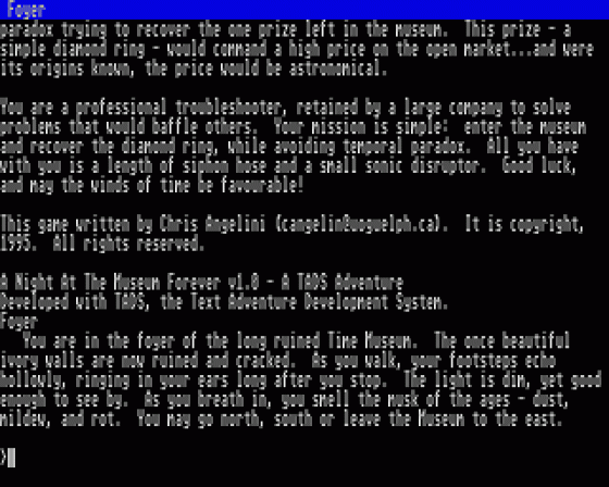 The Night At The Museum Forever Screenshot 1 (Atari ST)