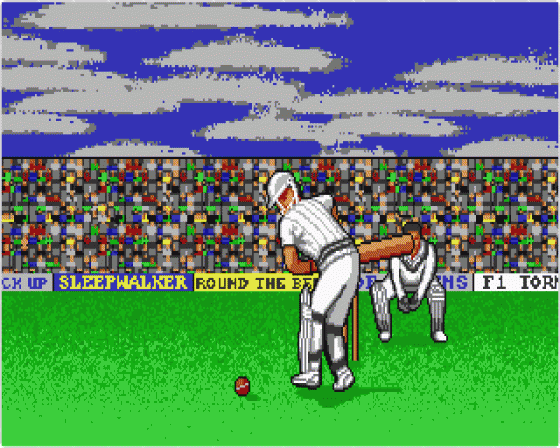 World Cricket Screenshot 7 (Atari ST)