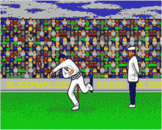 World Cricket Screenshot 8 (Atari ST)