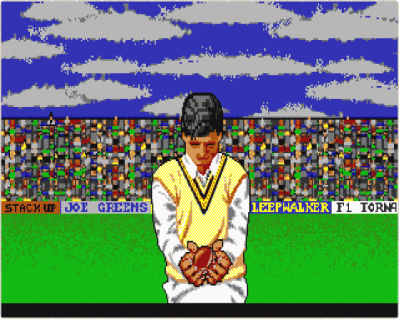 World Cricket Screenshot 9 (Atari ST)