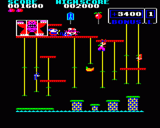 Donkey Kong Junior Screenshot 5 (BBC Model B)