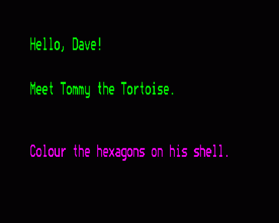 Tommy The Tortoise