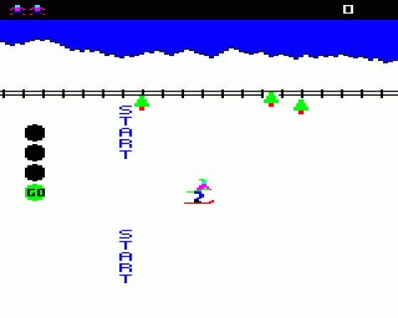 Ski Slalom