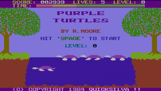 Purple Turtles