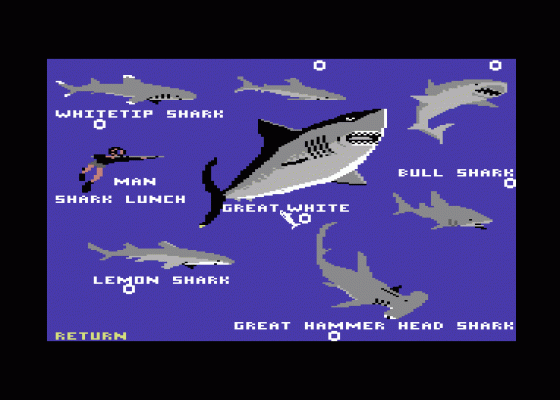 Jaws Screenshot 10 (Commodore 64/128)