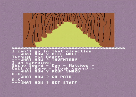 The Golden Baton Screenshot 5 (Commodore 64)