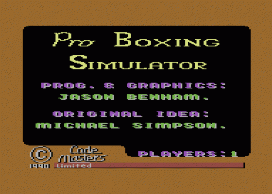 Pro Boxing Simulator