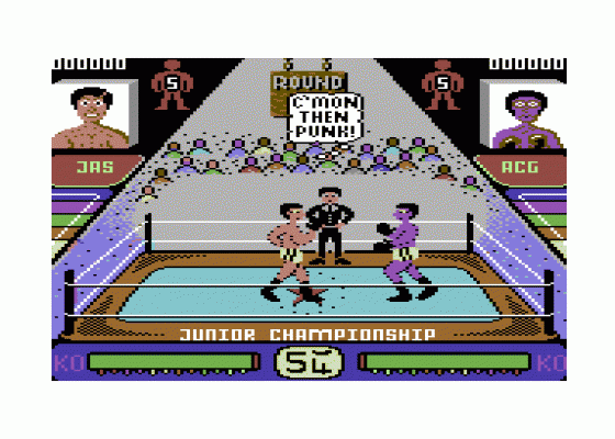 Pro Boxing Simulator