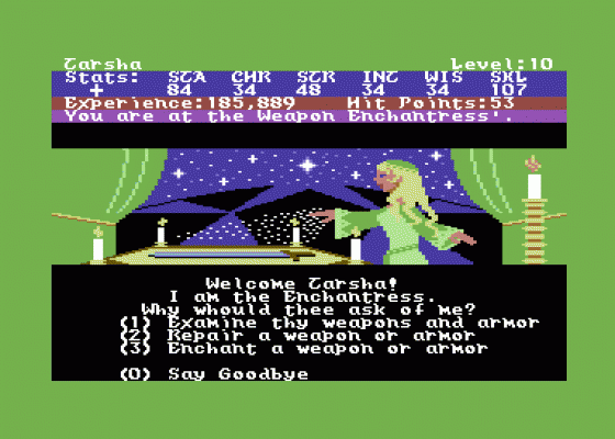 Alternate Reality: The Dungeon Screenshot 13 (Commodore 64)