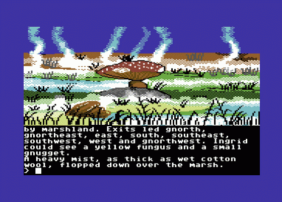 Gnome Ranger Screenshot 9 (Commodore 64/128)