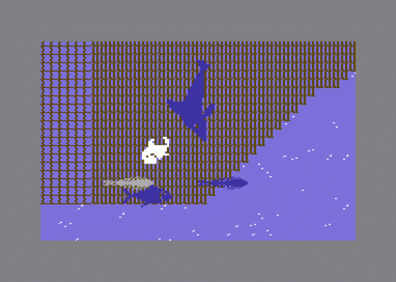 The Dolphin's Rune: A Poetic Odyssey Screenshot 5 (Commodore 64)
