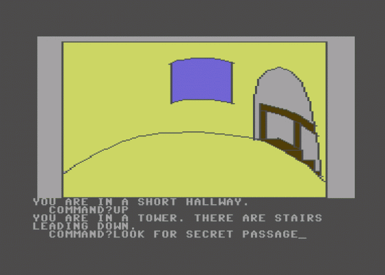 The Wizard And The Princess Screenshot 38 (Commodore 64)