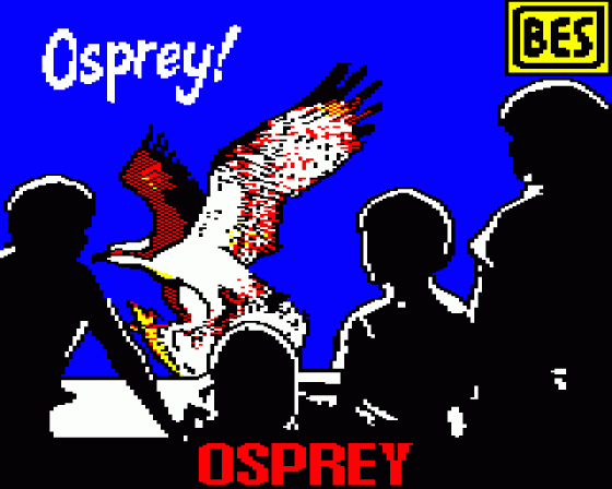 Osprey!