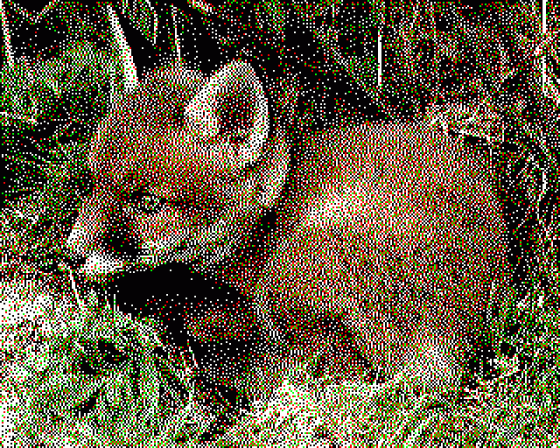 Fox Cub Screenshot