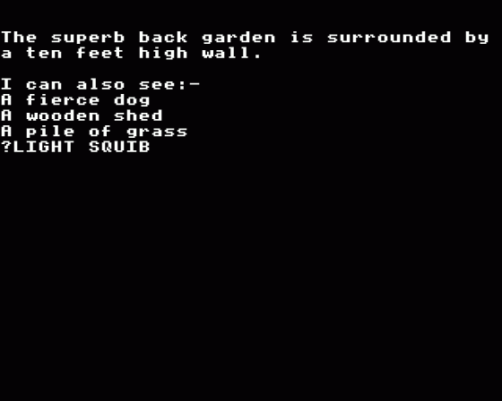 Wychwood Screenshot 24 (Acorn Electron)