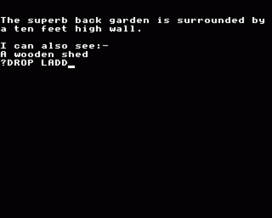 Wychwood Screenshot 26 (Acorn Electron)