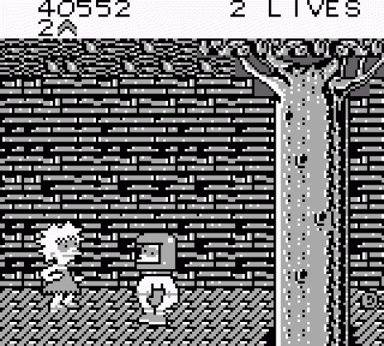 Bart Simpson's Escape From Camp Deadly Screenshot 14 (Game Boy)