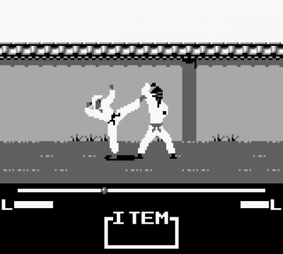 Master Karateka Screenshot 6 (Game Boy)