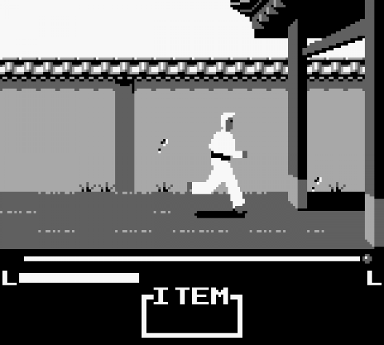 Master Karateka Screenshot 7 (Game Boy)