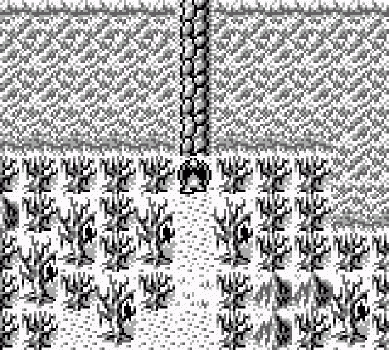 Gargoyle's Quest: Ghosts 'n Goblins Screenshot 5 (Game Boy)