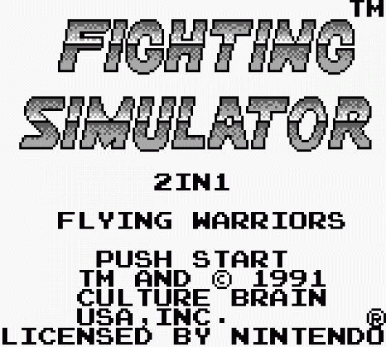 Fighting Simulator: 2-in-1 Flying Warriors