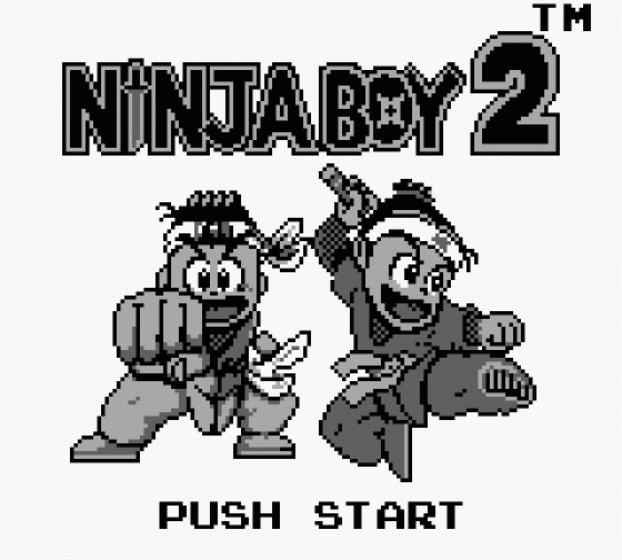 Ninja Boy 2