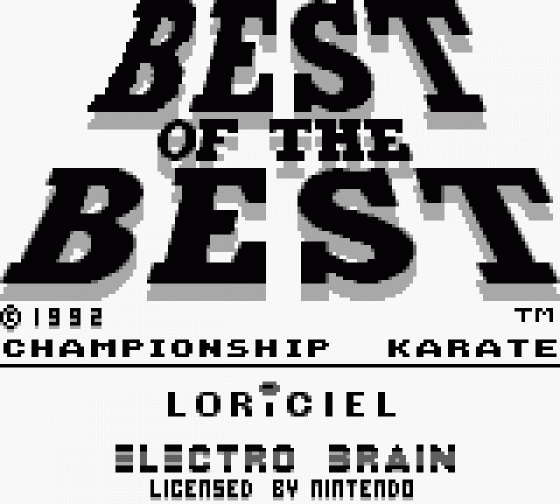 Best Of The Best: Championship Karate