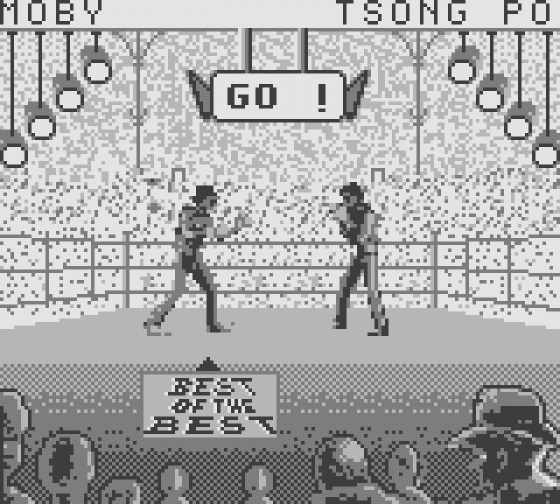 Best Of The Best: Championship Karate Screenshot 5 (Game Boy)