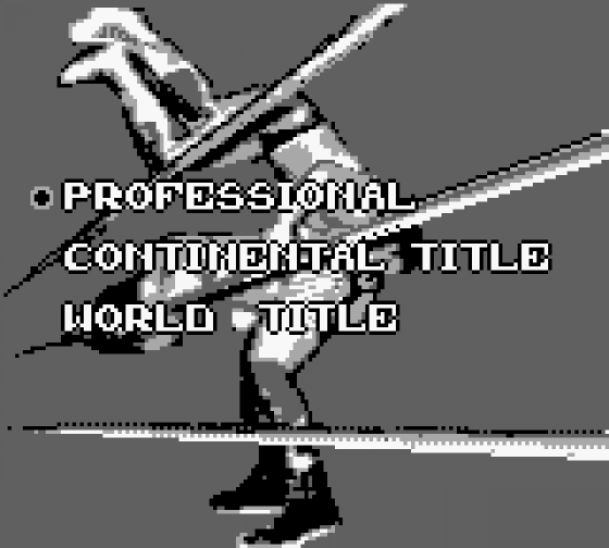 WCW World Championship Wrestling: The Main Event Screenshot 10 (Game Boy)