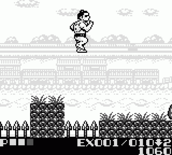 Sumo Fighter Screenshot 5 (Game Boy)