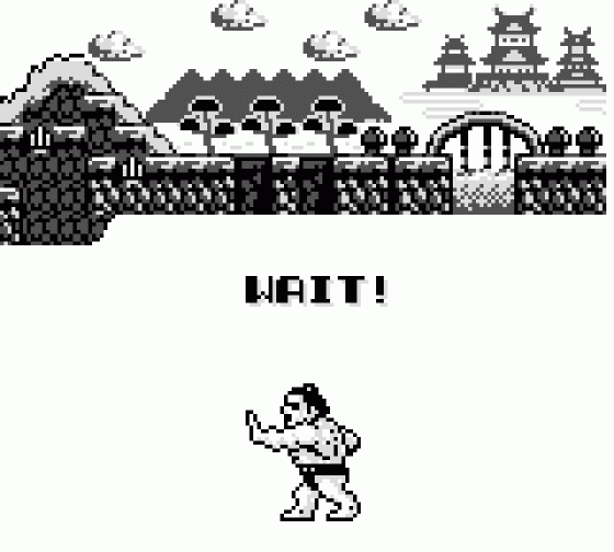 Sumo Fighter Screenshot 10 (Game Boy)