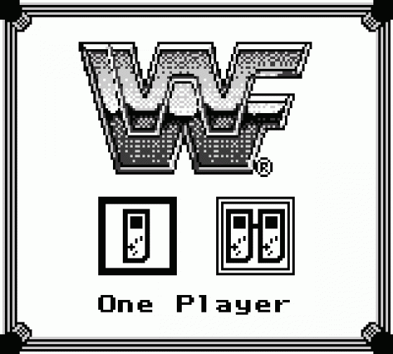 WWF Superstars 2