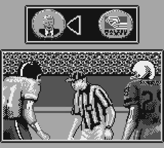 Madden '95 Screenshot 8 (Game Boy)