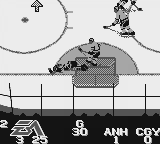 NHL Hockey 95 Screenshot 11 (Game Boy)