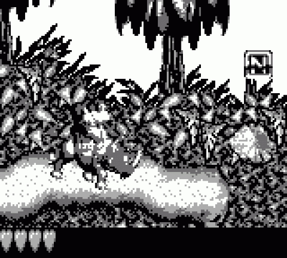 Donkey Kong Land Screenshot 7 (Game Boy)