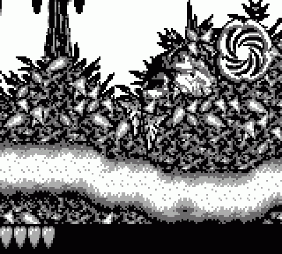 Donkey Kong Land Screenshot 8 (Game Boy)