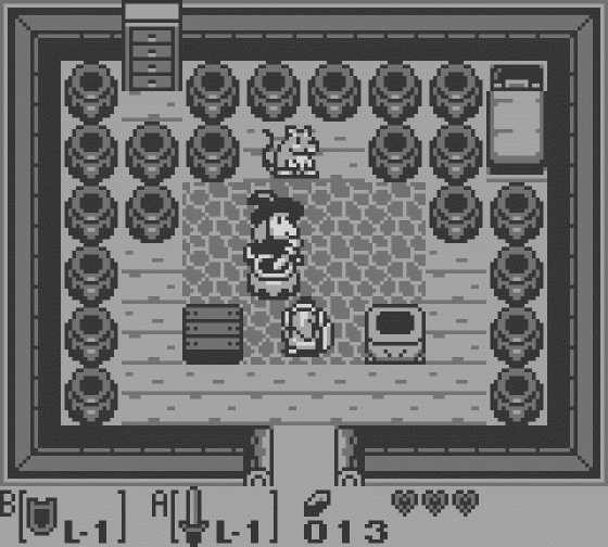 The Legend Of Zelda: Link's Awakening Screenshot 5 (Game Boy)