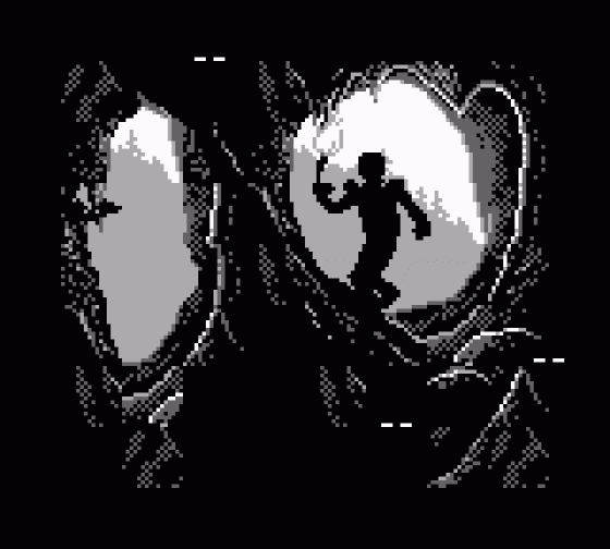 Ultima: Runes Of Virtue II Screenshot 6 (Game Boy)