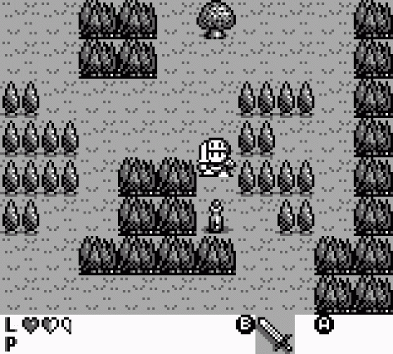 Rolan's Curse Screenshot 6 (Game Boy)