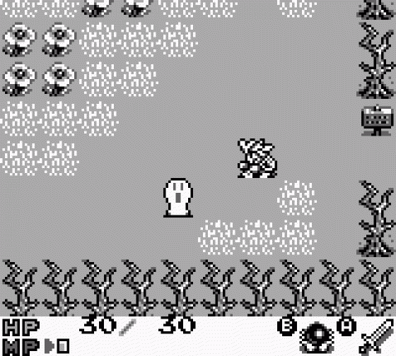 Rolan's Curse 2 Screenshot 7 (Game Boy)