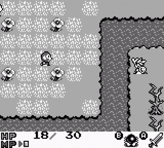 Rolan's Curse 2 Screenshot 11 (Game Boy)