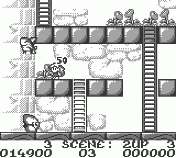 Rodland Screenshot 7 (Game Boy)