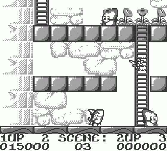 Rodland Screenshot 8 (Game Boy)